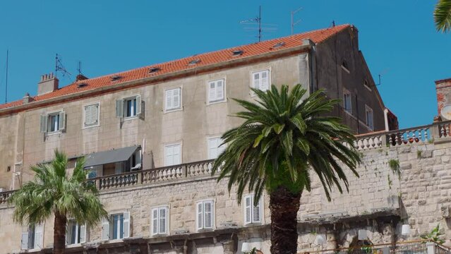 Old town in Split with view of old building with palm trees in foreground (Croatia)
