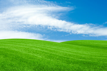 Lush green grass under bright blue sky with clouds