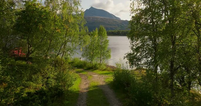 Walking On The Pathway Towards Efjorden Fjord In Nordland County, Norway. Dolly Shot