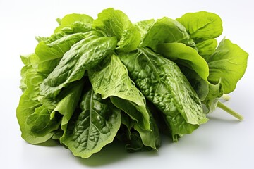 Fresh, crisp lettuce leaves. isolation white background,Generated with AI