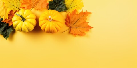 Thanksgiving pumpkin. Autumn harvest season. Pumpkin for Thanksgiving day or Halloween