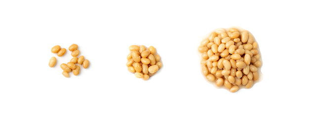 White Kidney Beans Isolated