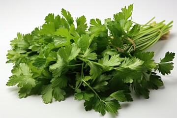 Fototapeta premium Fresh, aromatic herbs like cilantro and parsley. isolation white background,Generated with AI
