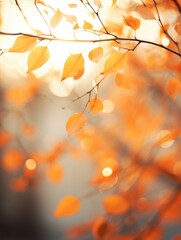 Fototapeta premium Beautiful orange and yellow autumn leaves against a blurry autumn background.