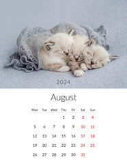 August 2024 Photo calendar with cute cats. Annual daily planner template with feline kitty animals....