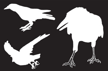 Ink pen vector  set of silhouettes of crows on black background. Elements for design,tattoo and printing	