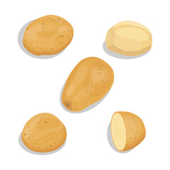 Vector illustration single and group of brown potato in flat style. Root vegetable organic product. Agriculture food healty nature. Whole and sliced with green leaves, peel and cut