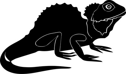 Frilled Lizard icon 6