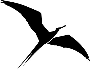 Frigatebird icon 6