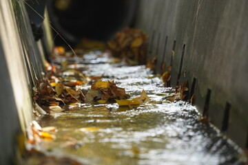 Urban irrigation ditch with water and fallen leaves.