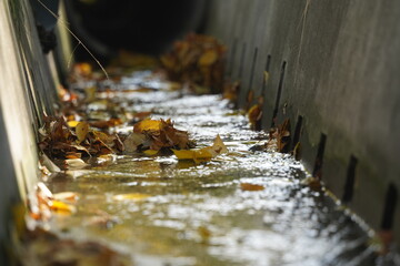 Urban irrigation ditch with water and fallen leaves.