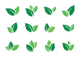 Foto op Plexiglas leaf icon, green leaves set © HokiHokke