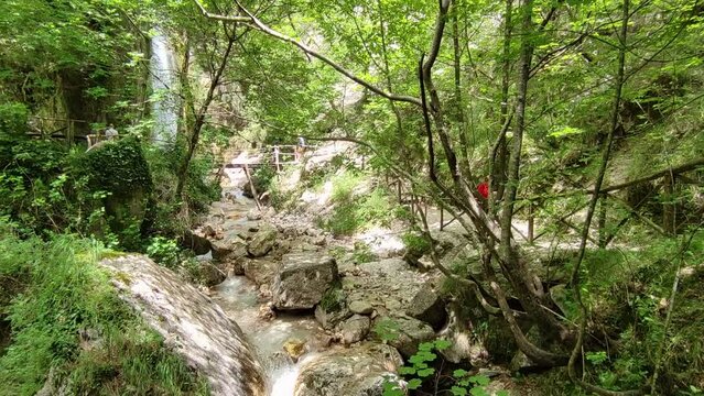 Senerchia - Tratto finale del sentiero verso la Cascata Acquabianca