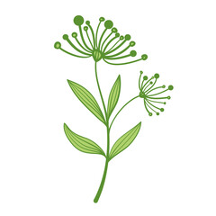 green leaf plant branch art drawn design