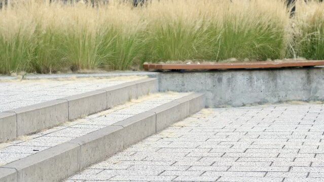 Legs of elementary school students jumping up the stairs in the school yard.