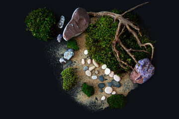 Green moss, stones, sand and crooked driftwood on a black background.