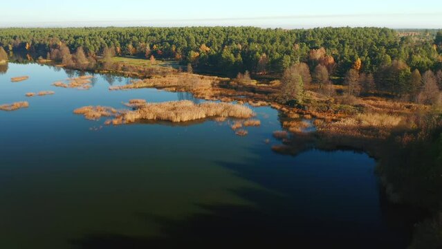 Fantastic view of untouched wilderness with forest and lake. Small Polissya, Ukraine, Europe.