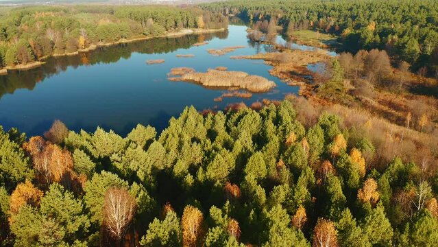 Drone footage of untouched wilderness with forest and lake. Small Polissya, Ukraine, Europe.