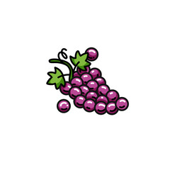 grapes icon in colors and filled outline style