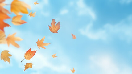 Obraz premium autumn leaf fall, falling leaves on the background of a light blue autumn sky, yellow and red leaves flying from the sky, view up