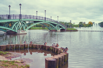 Beautiful landscape with lake and bridge at Tsaritsyno park, Moscow Russia.