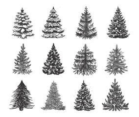 Christmas tree set hand drawn illustration	
