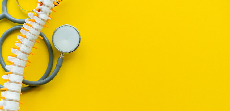 close up top view on human skeleton at lower back and stethoscope on yellow background for treatment and healthcare concept
