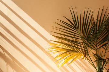 Abstract background from a light beige wall with shadows and a palm tree