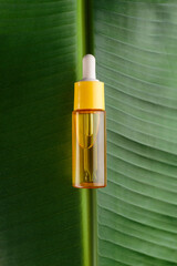 Yellow Bottle of serum with vitamin c, collagen and peprides and plant leaves on color background...