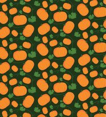 Vector illustration. Seamless ornament, background. Pumpkins on a dark green background.