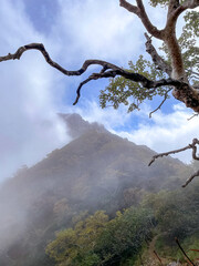 八ヶ岳　阿弥陀岳までの登山道