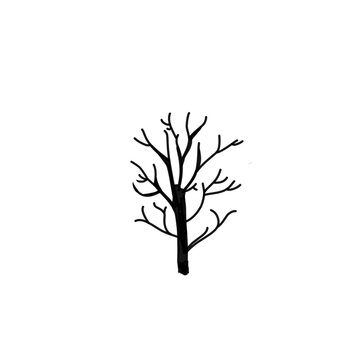 Bare tree silhouettes