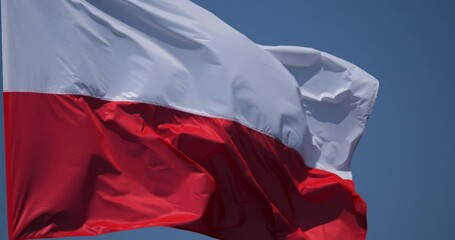 The national polish flag waving in the wind.