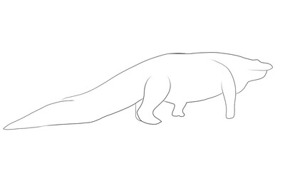 ワニ　白　モノクロ　シルエット　イラスト