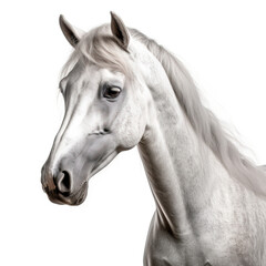 Fototapeta premium Horse isolated on white background, Generative AI
