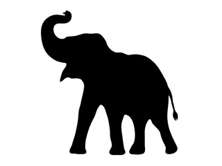 Silhouette of an Elephant. Vector Illustration Design