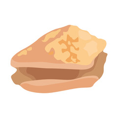 Vector illustration single or set of sea shell in flat style. Animal various mollusc shell in cartoon. Design element for summer beach ocean aquatif life holiday