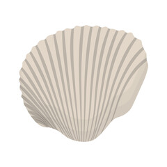 Vector illustration single or set of sea shell in flat style. Animal various mollusc shell in cartoon. Design element for summer beach ocean aquatif life holiday