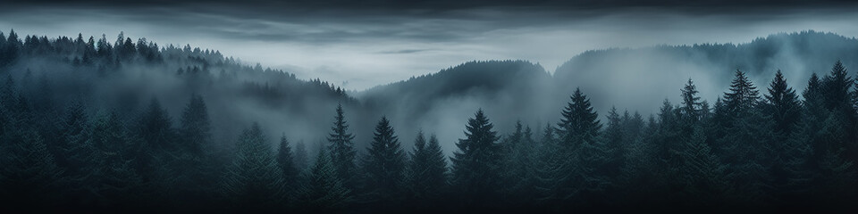 a long narrow panorama of a coniferous northern forest in the fog of an autumn day, a landscape of...