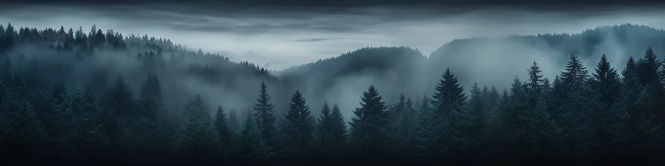 Ingelijste posters a long narrow panorama of a coniferous northern forest in the fog of an autumn day, a landscape of wildlife © kichigin19