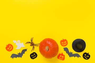 Halloween decoration and pumpkins on color background, top view