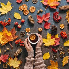 Autumn mood flat lay. Woman`s hands in cozy sweater holding warm cup of tea on dark table background with fall leaves, berries, apples, cones. Hygge, home decor. Happy holidays, Thanksgiving day.
