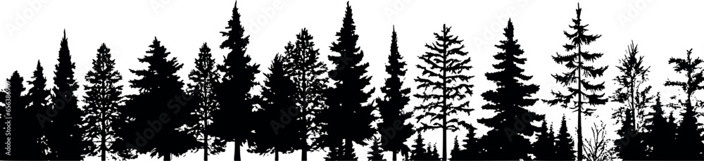 Poster fir trees silhouettes set, coniferous spruce, creating a serene and enchanting atmosphere. a horizon