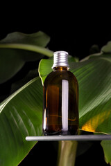 Amber glass bottle, eucalyptus leaves and banana leaves. Natural organic cosmetic packaging, luxury beauty products for body care.