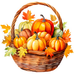 Fall pumpkin basket watercolor design with transparent background, PNG illustration