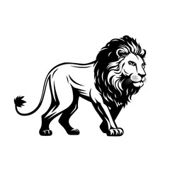 Mighty lion walking forward.