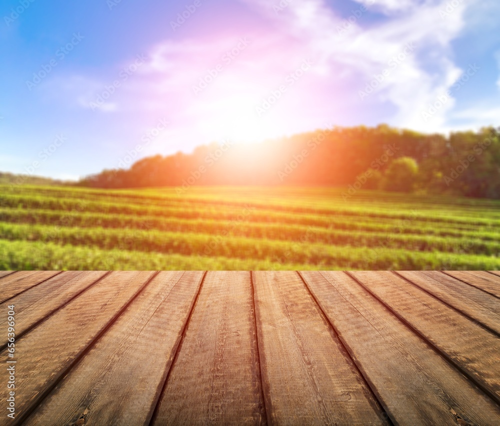 Canvas Prints Wooden empty table top on green field background