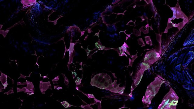 Experience a mind-bending journey as the camera delves deep inside a psychedelic mushroom, a visual spectacle designed for concerts, nightclubs, and the glitchy realms of digital art.