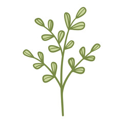 Fototapeta na wymiar green leaf plant herb art drawn decor