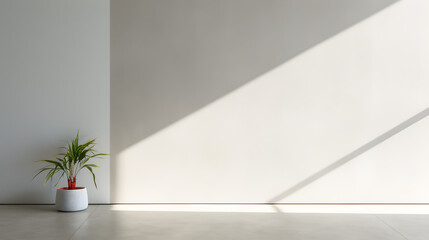 Elegant Light-Play on Gray Wall and Floor: Ideal Canvas for Product Presentation